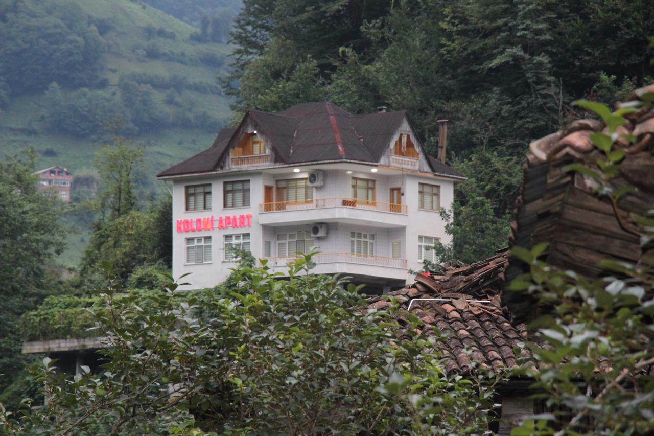 Koloni Apart Aparthotel Çamlıhemşin Bagian luar foto